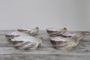 antique china sea shell oyster dishes, set of six bowls, soup, salad or dessert dishes 
