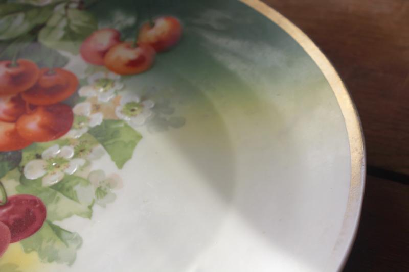 photo of antique china tray or plate w/ cherries & cherry blossoms, Germany three crowns mark #4