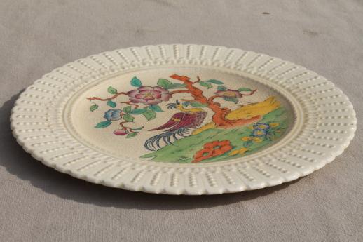 photo of antique creamware china plate Indian tree of life Coalport Kingsware  #3