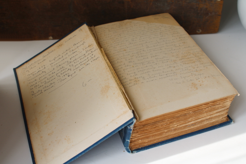 photo of antique early 1900s poetry book blue & gold cover Poets of the Younger Generation  #2