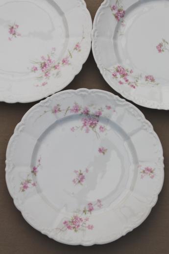 photo of antique embossed porcelain dinner plates set, Weimar Germany pink floral china #3