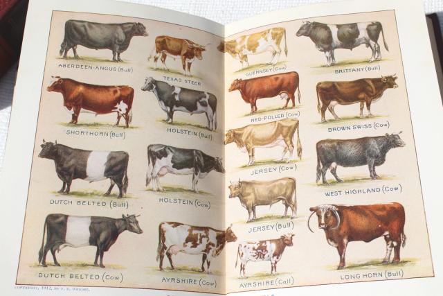 photo of antique encyclopedia books 5 volume library w/ vintage engravings, photos, color plates, dated 1914 #3