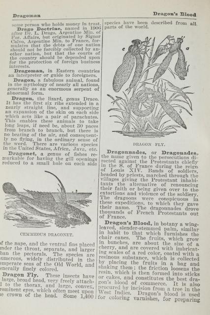 photo of antique encyclopedia books 5 volume library w/ vintage engravings, photos, color plates, dated 1914 #4