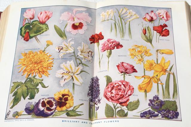 photo of antique encyclopedia books 5 volume library w/ vintage engravings, photos, color plates, dated 1914 #5