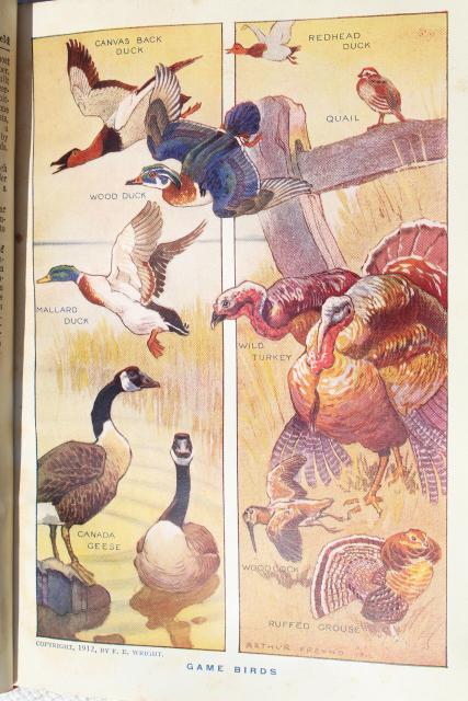 photo of antique encyclopedia books 5 volume library w/ vintage engravings, photos, color plates, dated 1914 #14