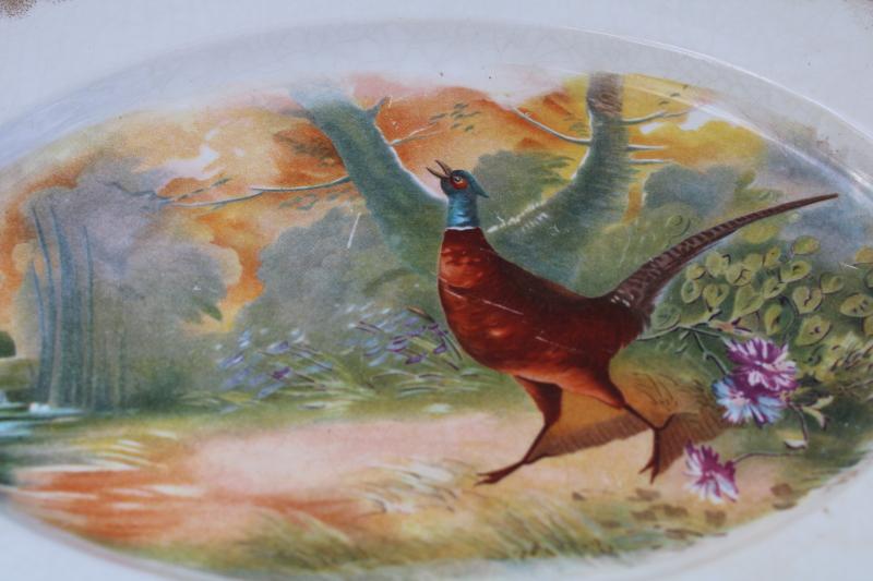 photo of antique estate china, game bird serving platter w/ wild pheasant, turn of the century vintage #2