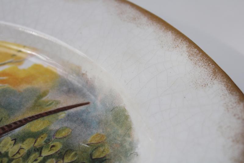 photo of antique estate china, game bird serving platter w/ wild pheasant, turn of the century vintage #4