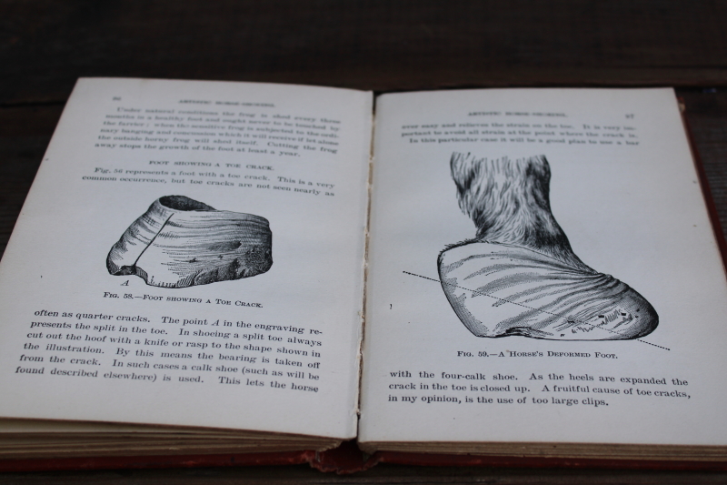photo of antique farrier's handbook Artistic Horseshoeing custom horseshoes for horse foot problems, equine medical book  #9