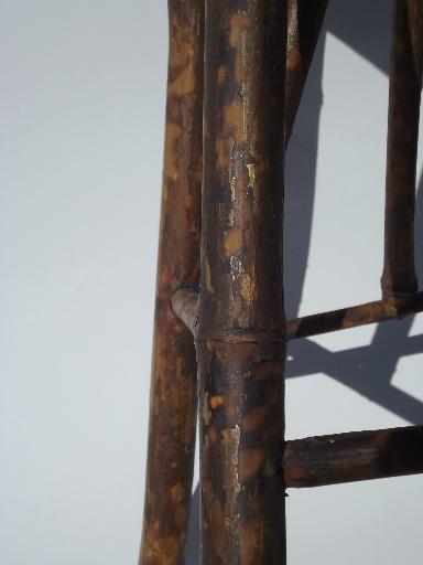 photo of antique fern stand, tortoise shell bamboo low plant table 1890s vintage #8