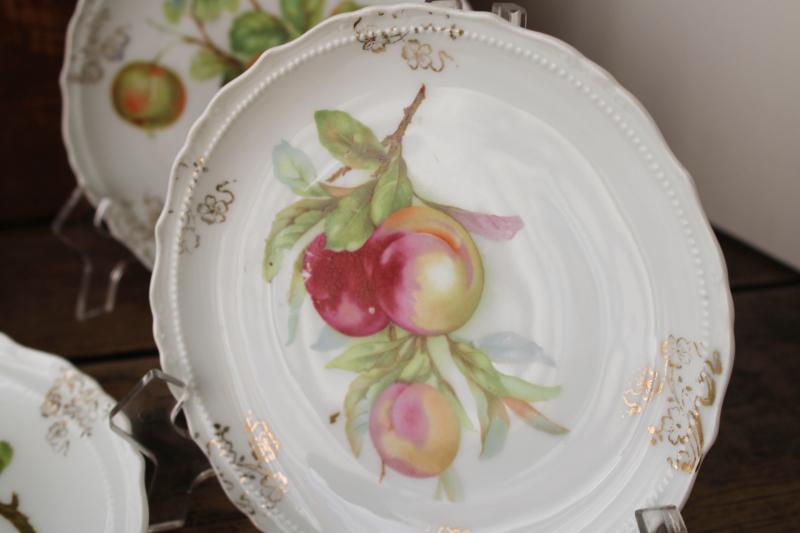 photo of antique fruit pattern china plates, early 1900s vintage dessert set w/ different fruits #6