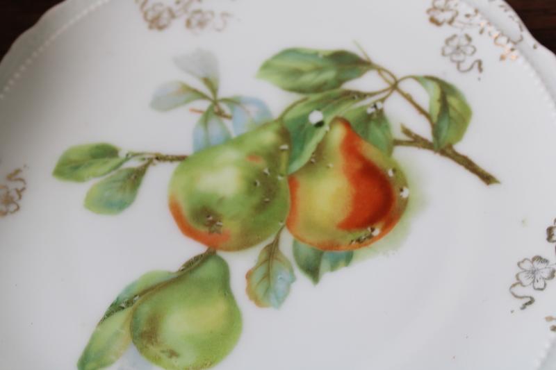 photo of antique fruit pattern china plates, early 1900s vintage dessert set w/ different fruits #10