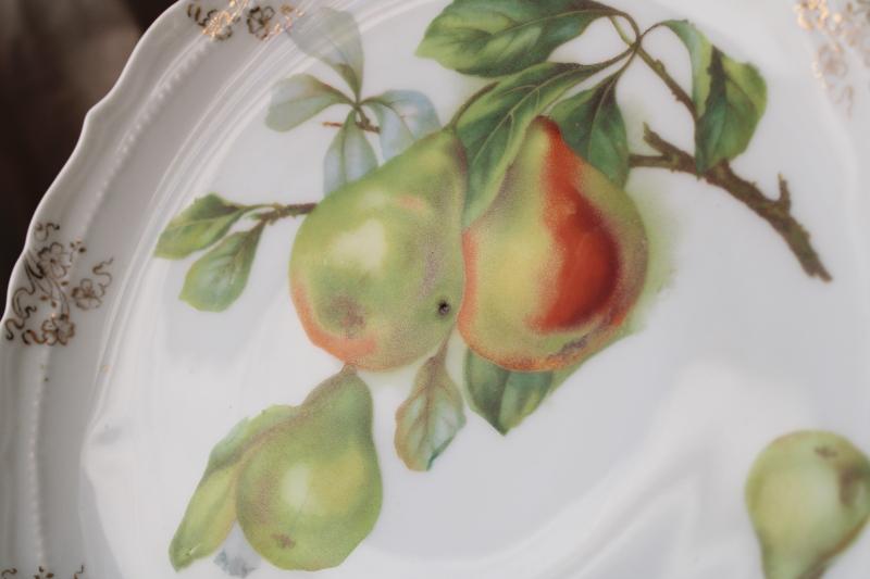 photo of antique fruit pattern china plates, early 1900s vintage dessert set w/ different fruits #11