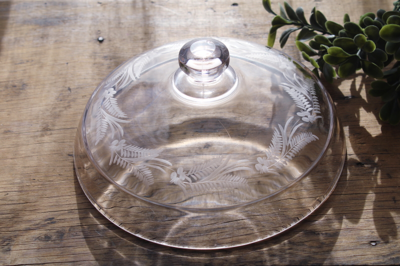 photo of antique glass dome plate cover, early 1900s vintage etched glass fern or foliage pattern #1