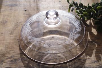 catalog photo of antique glass dome plate cover, early 1900s vintage etched glass fern or foliage pattern