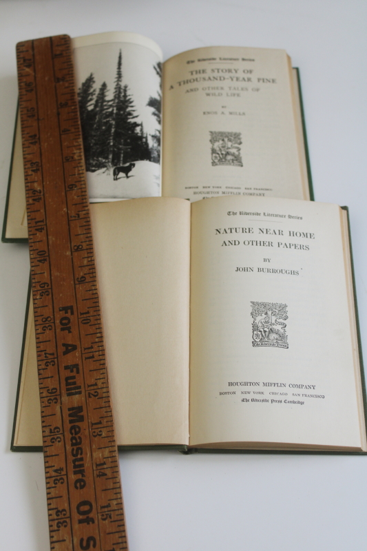 photo of antique green books early ecology Riverside Press, Nature Near Home, Thousand Year Pine  #2