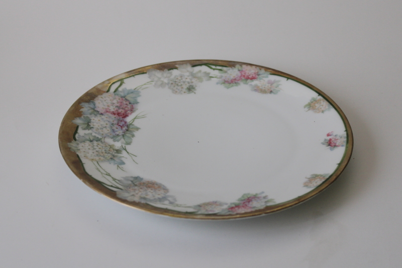 photo of antique hand painted china plate floral border snowball bush flowers hydrangeas #1