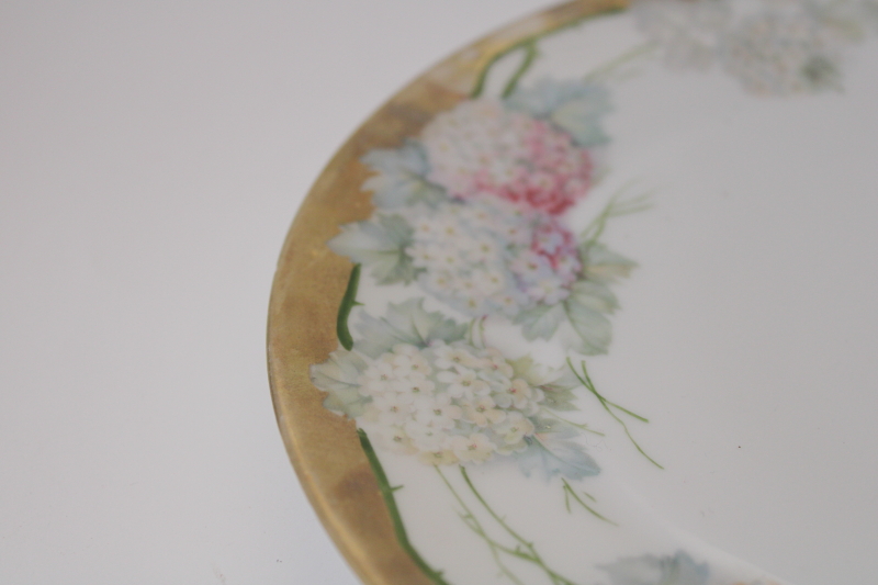 photo of antique hand painted china plate floral border snowball bush flowers hydrangeas #2