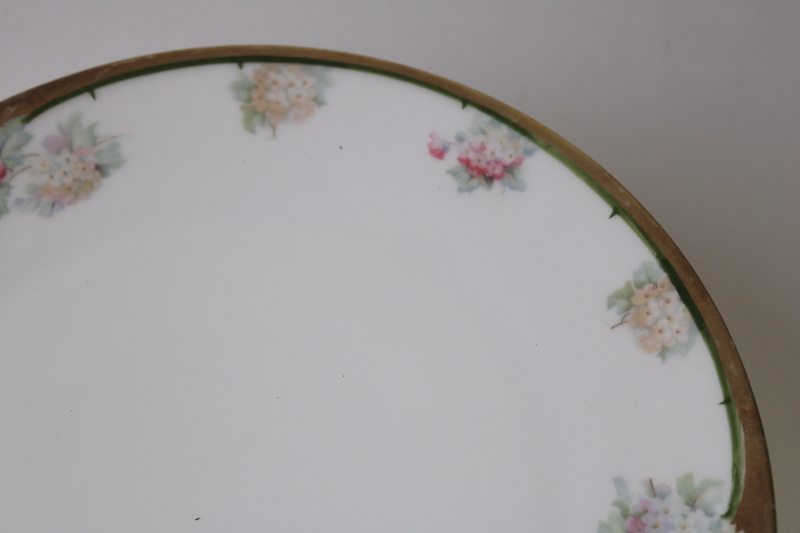 photo of antique hand painted china plate floral border snowball bush flowers hydrangeas #3