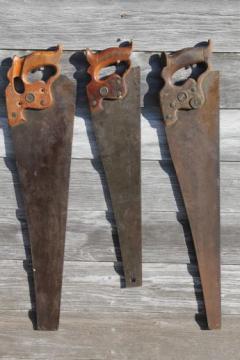 catalog photo of antique hand saws, lot of Henry Disston saws 1860s medallion thumbhole handle