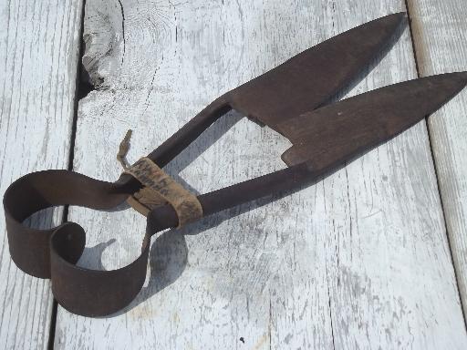 photo of antique hand shearing sheep shears, rustic primitive heart handle shears #2