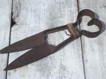 catalog photo of antique hand shearing sheep shears, rustic primitive heart handle shears