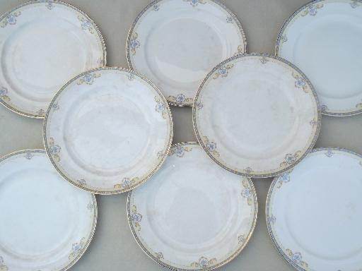 photo of antique hand-painted china dishes set for 8, Taylor, Smith & Taylor Iona #3