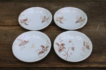 antique ironstone china butter pats, tiny dishes or plates brown transferware ferns pattern 