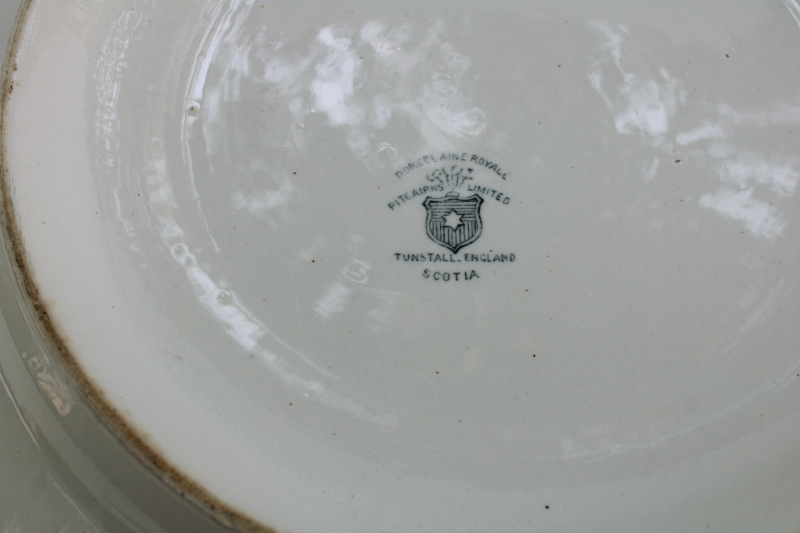 photo of antique ironstone china, huge wash basin bowl blue transferware floral Scotia Pitcairns porcelaine royale  #10