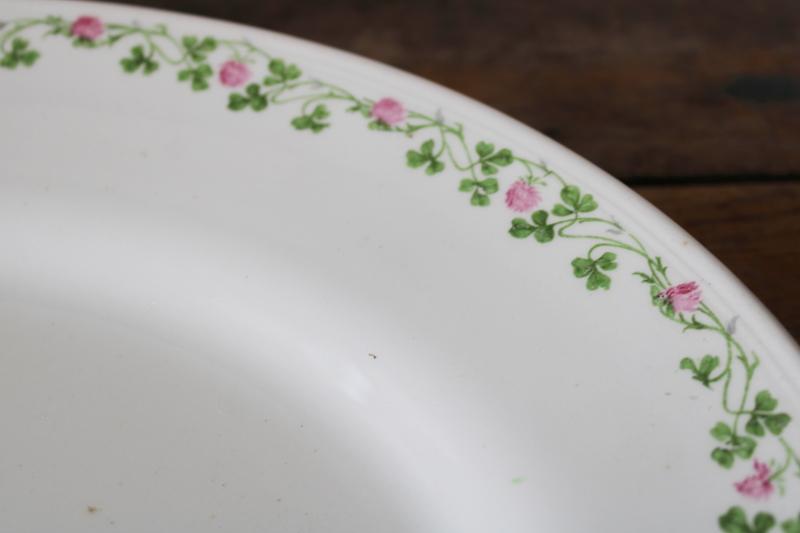photo of antique ironstone china platter, border of green shamrocks & pink clover blossoms #2