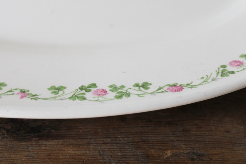 photo of antique ironstone china platter, border of green shamrocks & pink clover blossoms #3