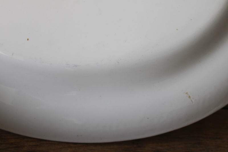 photo of antique ironstone china platter, border of green shamrocks & pink clover blossoms #6