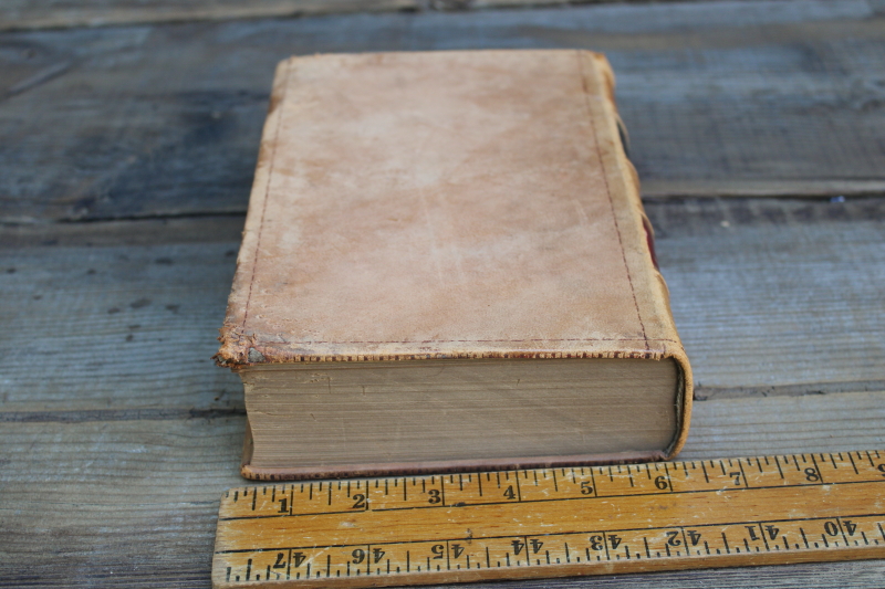 photo of antique leather bound book, soft worn pale tan cover vintage library decor, decorative riser display  #3
