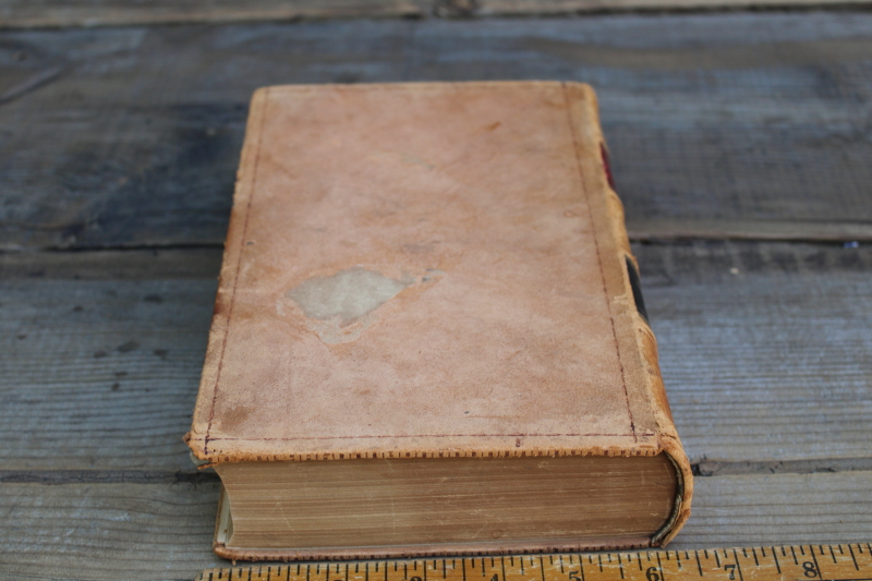 photo of antique leather bound book, soft worn pale tan cover vintage library decor, decorative riser display  #4