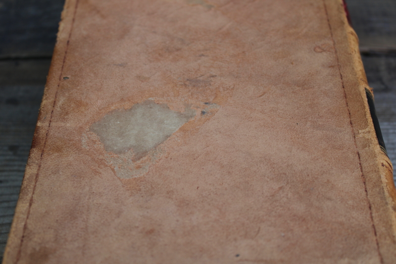 photo of antique leather bound book, soft worn pale tan cover vintage library decor, decorative riser display  #5