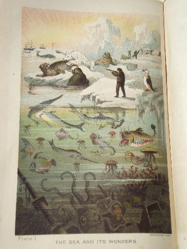 photo of antique leather bound illustrated Sea & Land, fantastic & greusome tales #5