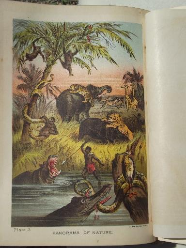 photo of antique leather bound illustrated Sea & Land, fantastic & greusome tales #10