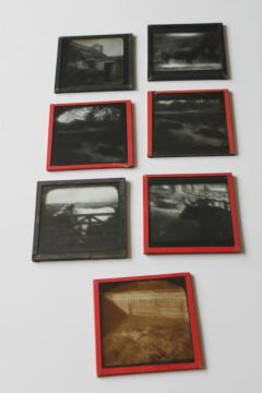 catalog photo of antique magic lantern glass slides lot Scottish Highland cattle, vintage travel photos Scotland, cows 