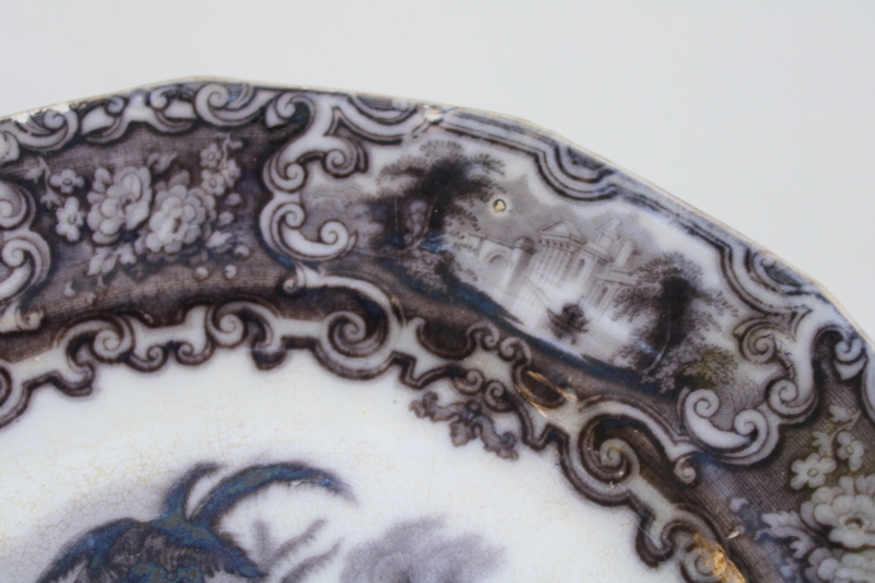 photo of antique mulberry flow black transferware china plate mid 1800s, 19th century English ironstone Calcutta pattern  #7
