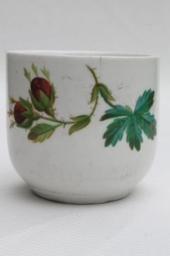 catalog photo of antique mustache cup, old moss rose china Victorian / Edwardian vintage