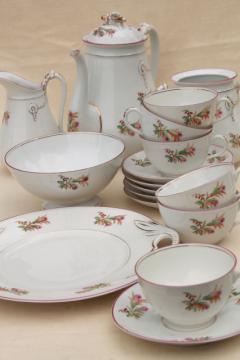 catalog photo of antique pink moss rose Haviland china, anchor rope coffee pot w/ dessert or tea set