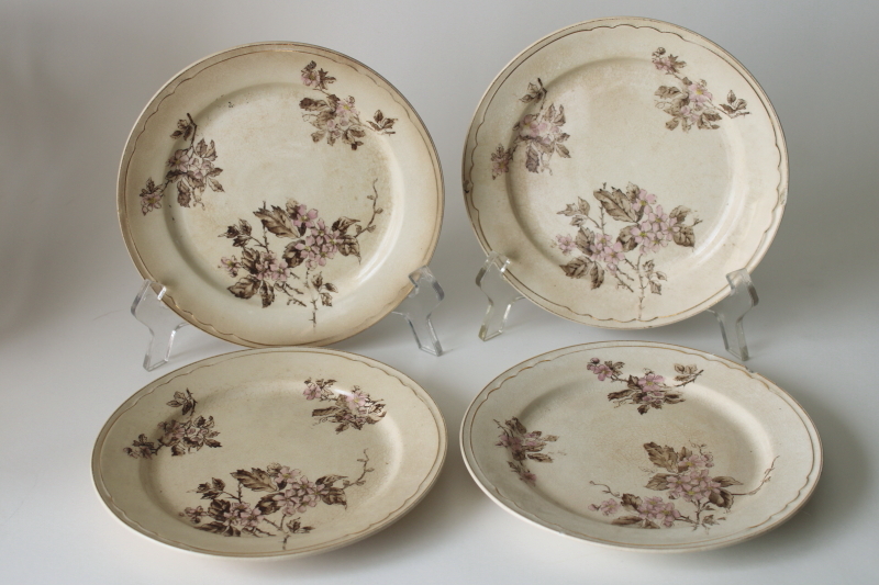 photo of antique stained crazed ironstone china plates, shabby worn floral pink & brown  #1