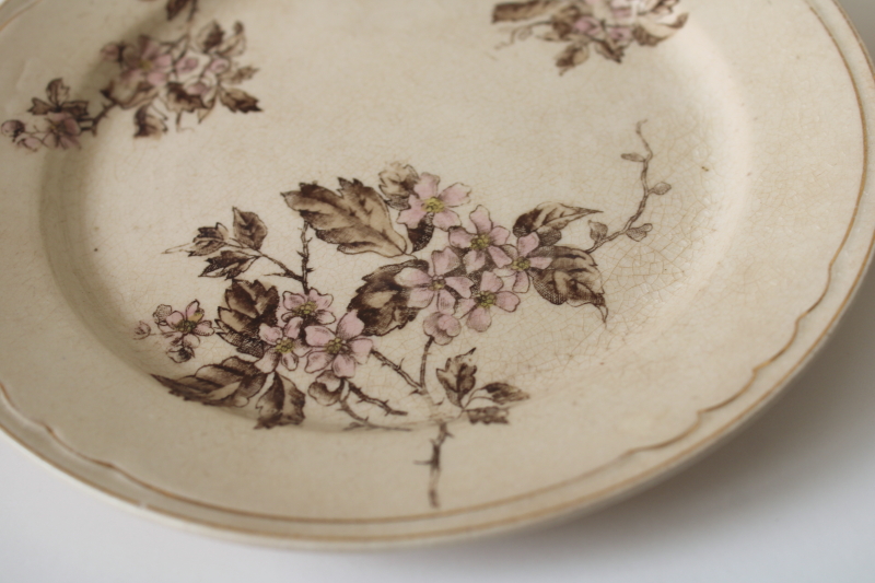 photo of antique stained crazed ironstone china plates, shabby worn floral pink & brown  #3