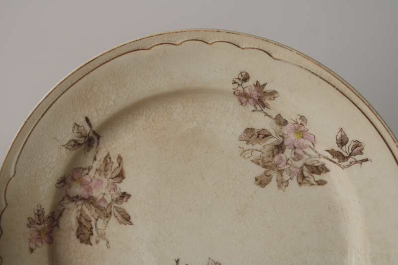 photo of antique stained crazed ironstone china plates, shabby worn floral pink & brown  #4