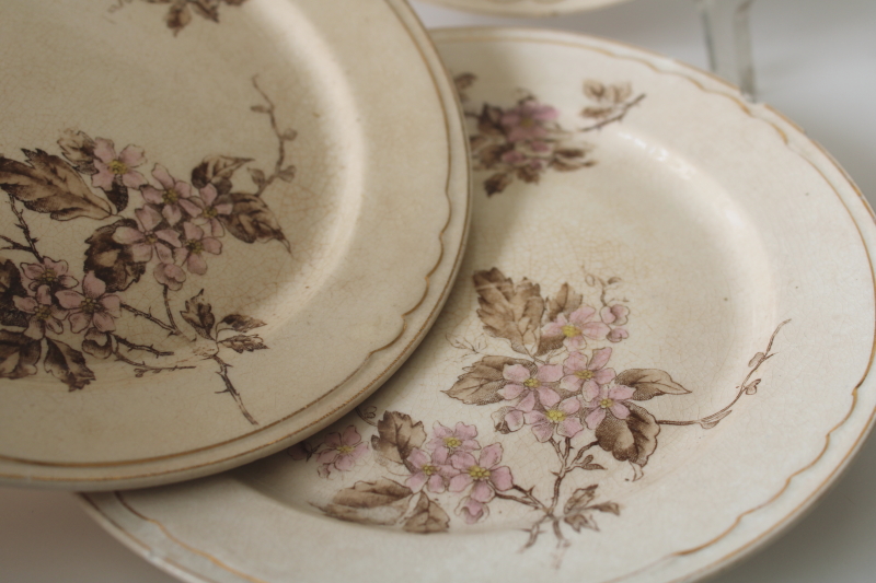 photo of antique stained crazed ironstone china plates, shabby worn floral pink & brown  #5
