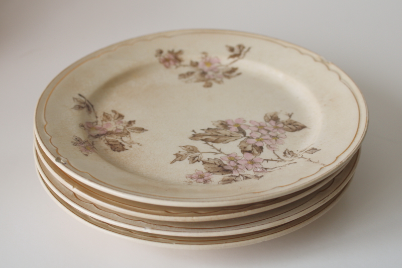 photo of antique stained crazed ironstone china plates, shabby worn floral pink & brown  #10