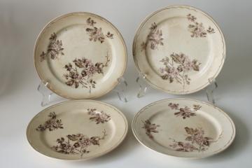 catalog photo of antique stained crazed ironstone china plates, shabby worn floral pink & brown 