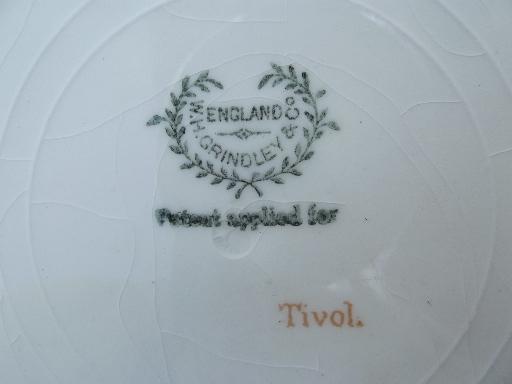 photo of antique transferware china plates, Grindley Tivoli 1899 patent date #6