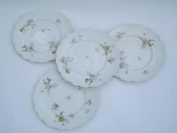 catalog photo of antique transferware china plates, Grindley Tivoli 1899 patent date