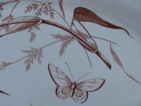 photo of antique transferware china platter with butterflies, England 1878 #2