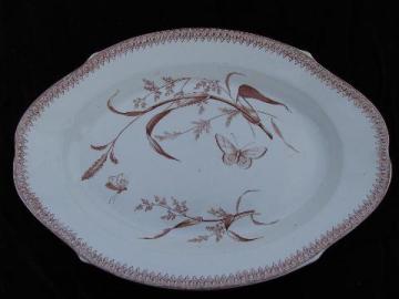 catalog photo of antique transferware china platter with butterflies, England 1878